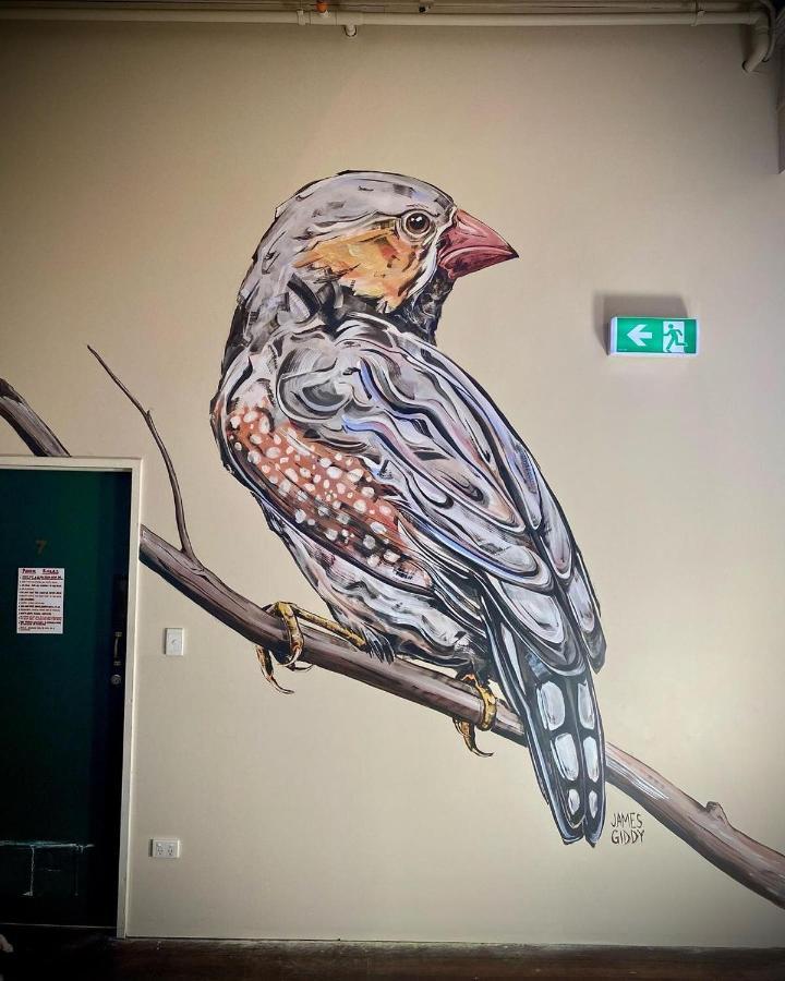 Sundancer Backpackers Hostel Fremantle Buitenkant foto